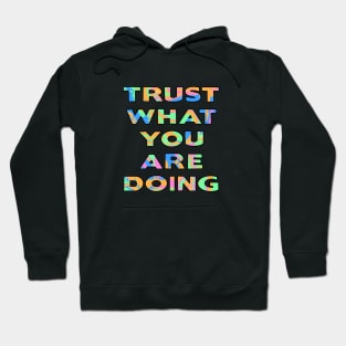 Trust what you are doing Hoodie